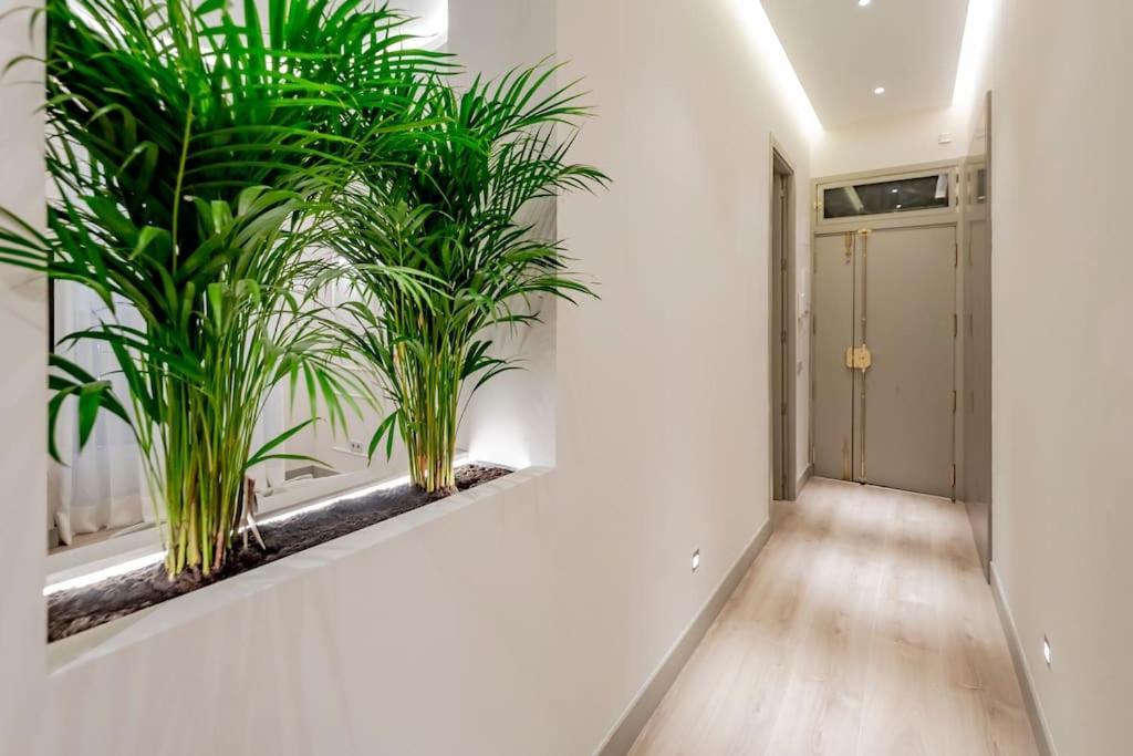 Appartement Vip Malasana 6 Pax