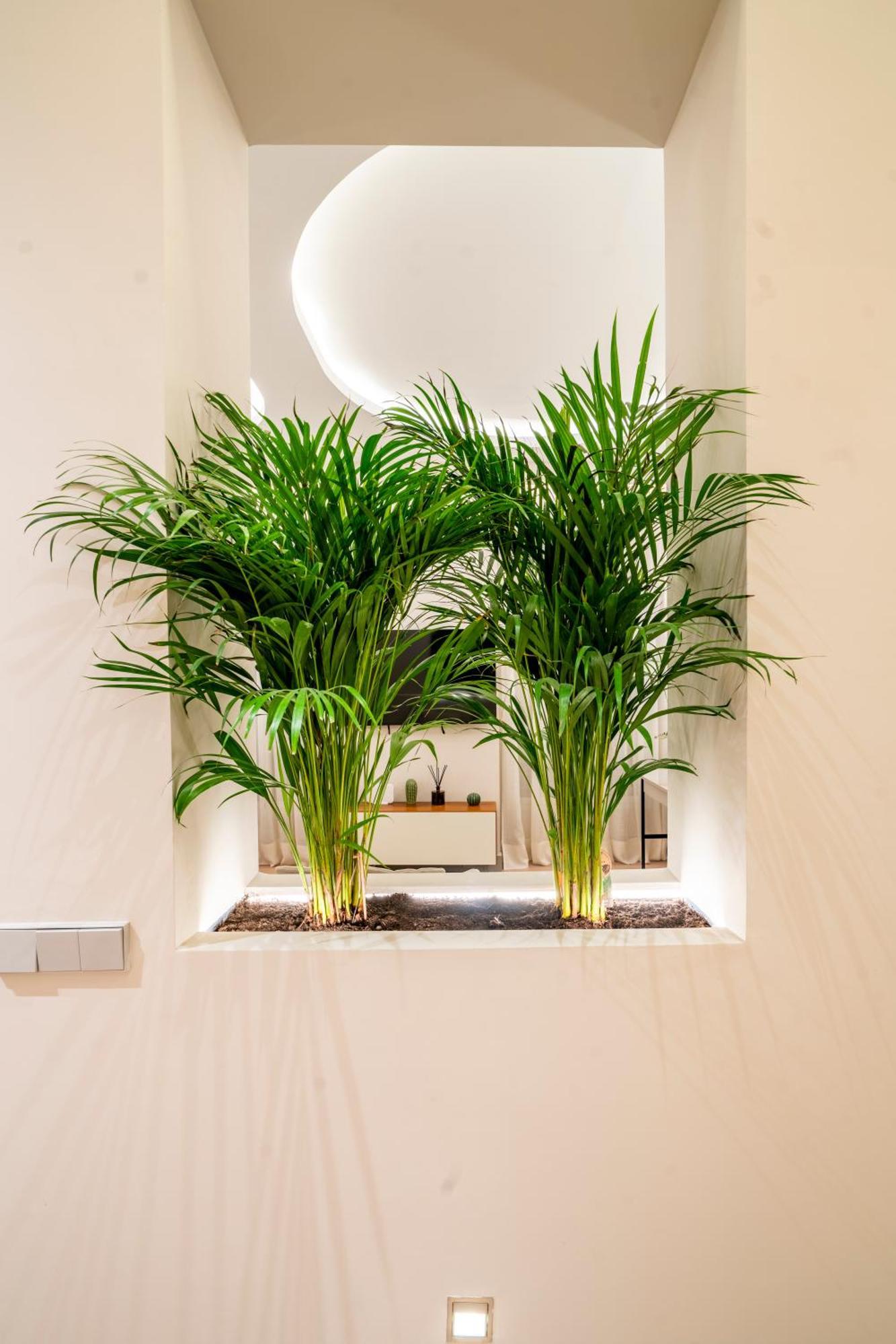 Appartement Vip Malasana 6 Pax Madrid